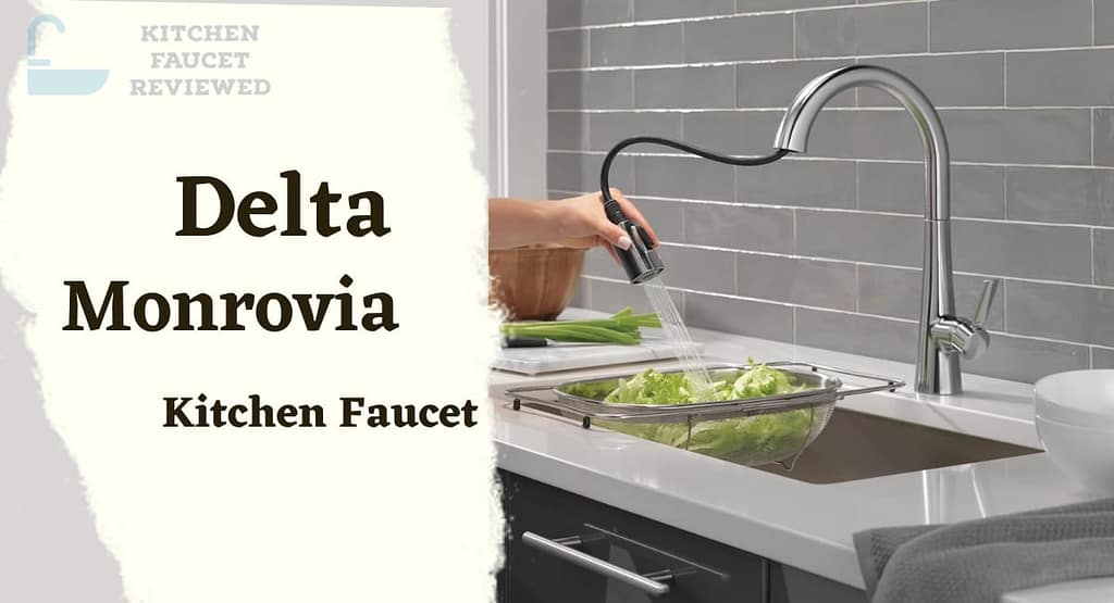 Delta Monrovia Kitchen Faucet