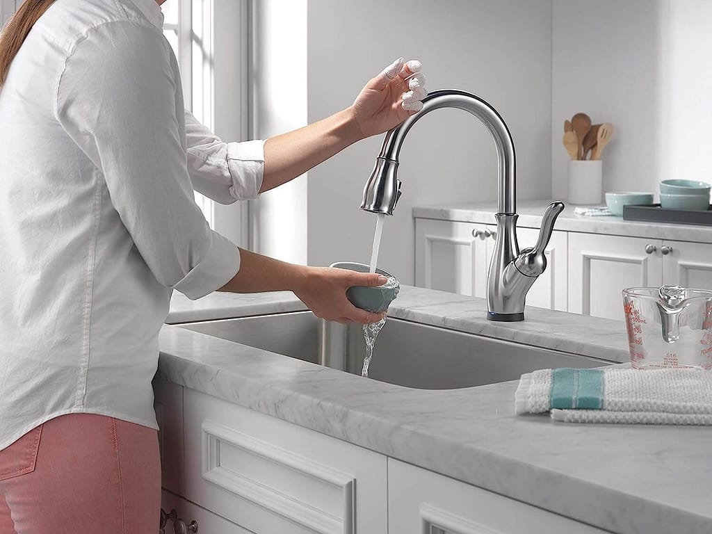 Delta Leland Kitchen Faucet Review