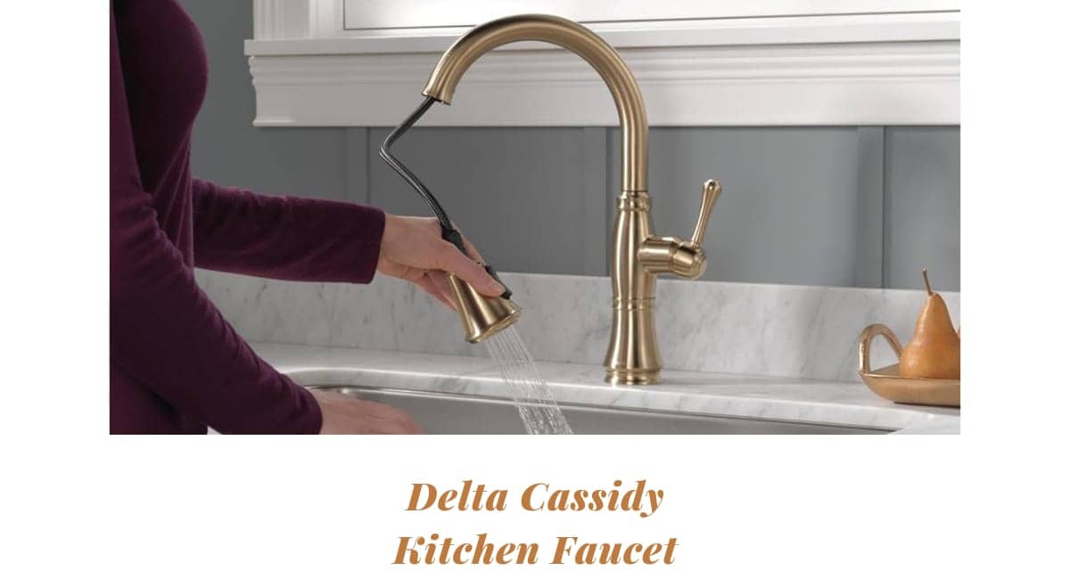 delta cassidy kitchen faucet
