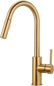 FORIOUS Gold Kitchen Faucet