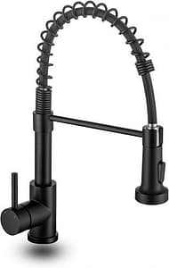 Lufeidra Commercial Pull Down Kitchen Faucet