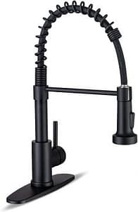 WEWE Matte Black Kitchen Faucet