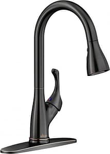 APPASO Oil Rubbed Bronze Kitchen Faucet