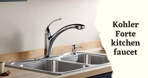 Kohler Forte Kitchen Faucet Review