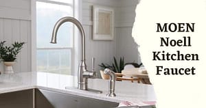 moen noell kitchen faucet reviews