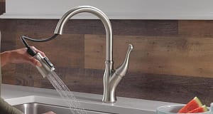 Delta Ophelia Kitchen Faucet