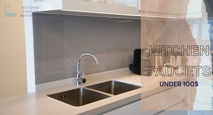 best kitchen faucet under $100 reviews