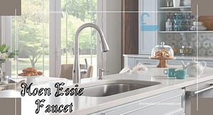 moen essie kitchen faucet
