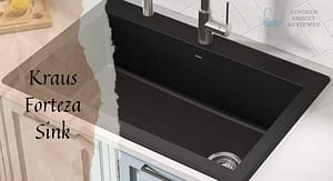 kraus forteza sink review