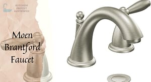 Moen Brantford Bathroom Faucet