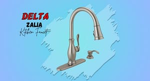 delta zalia Kitchen Faucet