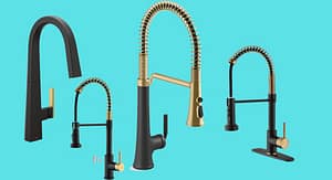 Black and Gold Kitchen Faucet