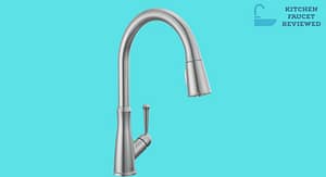 Delta Westville Kitchen Faucet Review