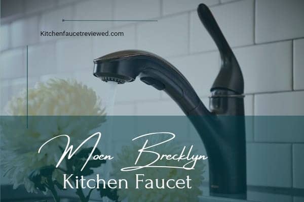 moen brecklyn kitchen faucet