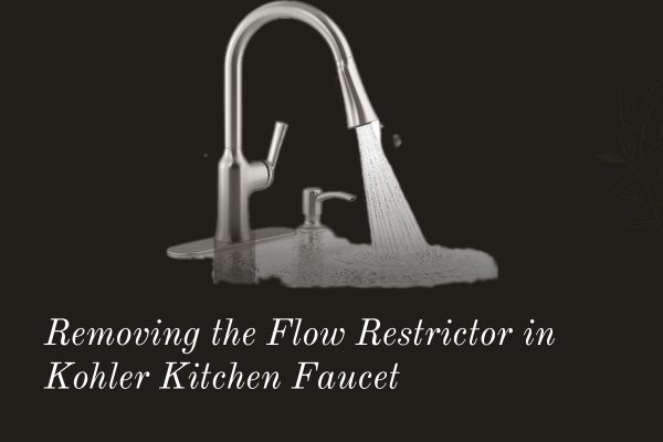 Removing the Flow Restrictor in Kohler Kitchen Faucet