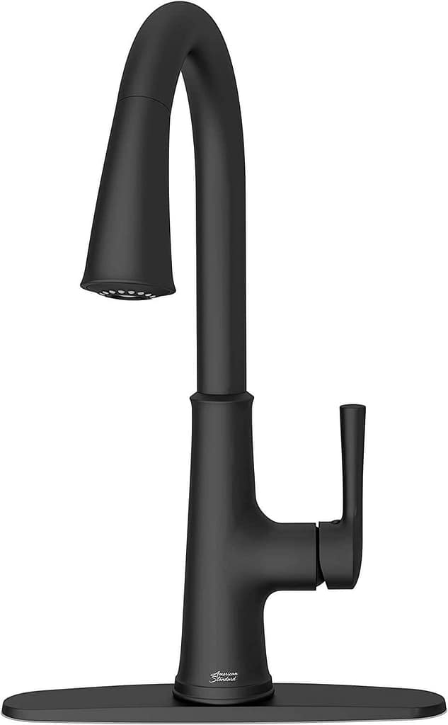 American Standard Renate Single-Handle Pull-Down Kitchen Faucet 9319310.243