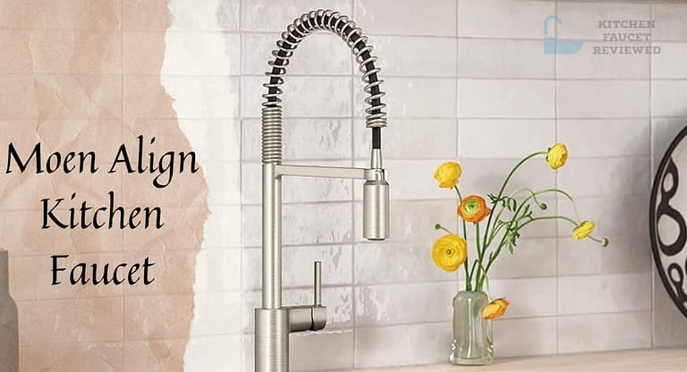 Moen Align Kitchen Faucet 5923SRS Review