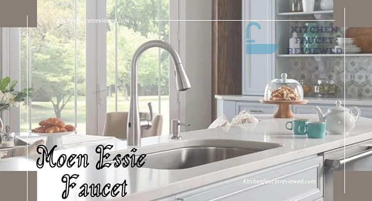 moen essie kitchen faucet