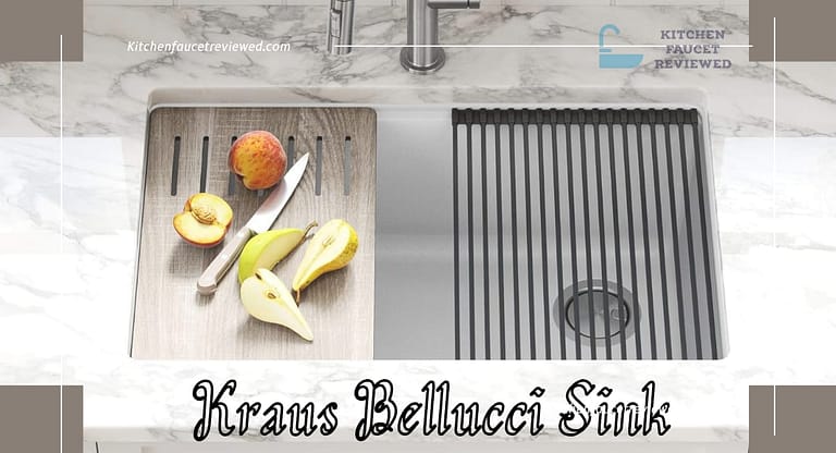 Kraus Bellucci Sink review