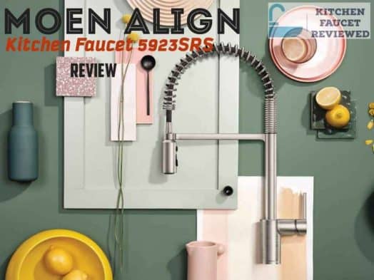 Moen Align Kitchen Faucet 5923SRS Review