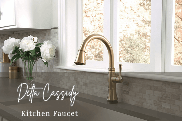 delta cassidy kitchen faucet review